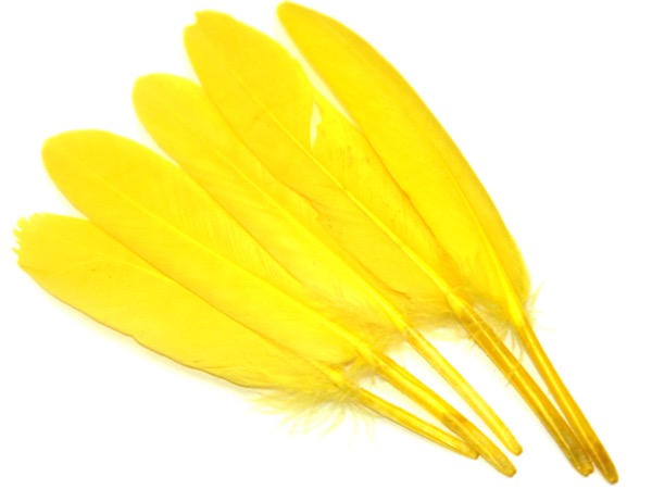 Перья Гуся желтые. 10 - 15 см. 5 шт.