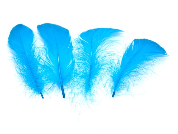 Перья Гуся голубые. 10 - 15 см. 5 шт.